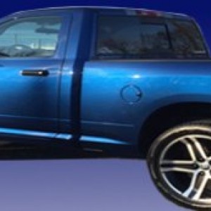 Shortbed Banner