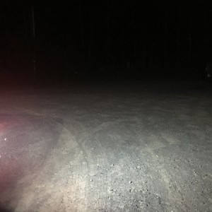 IMG 0610