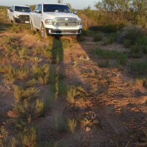More trail riding. When she gets home from this job it'll be time for the lift!