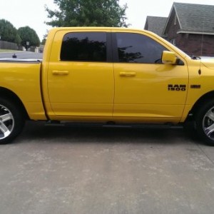 Bumble Bee 05