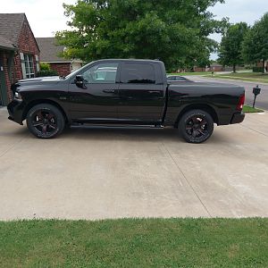Bumble Bee 02