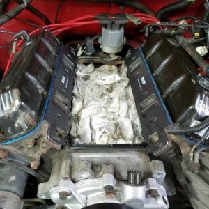 intake plenum repair
