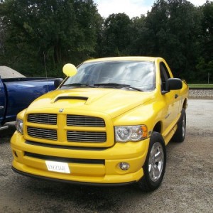 05 Rumble Bee 01