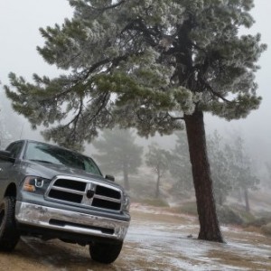Big Bear