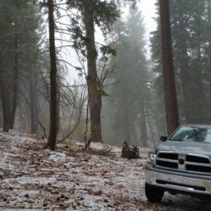 Big Bear