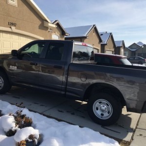 Bone Stock 1