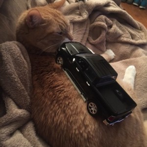 Bought a MINI ram