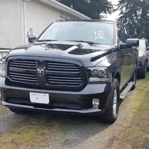 stainless trim and rams head plasti dipped
