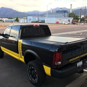 left rear yellow