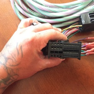 fullsizeoutput 2e17