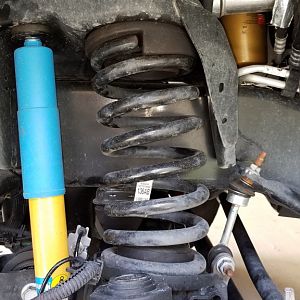 Passenger Side Spring