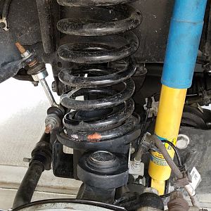 Drivers Side Spring