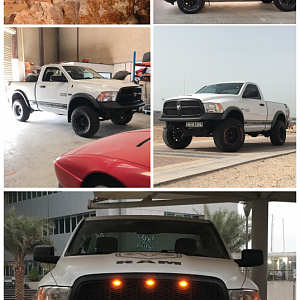Evolution
