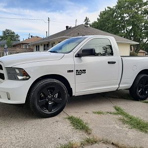 The day I brought it home
