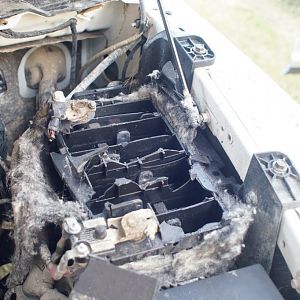 Truck Battery