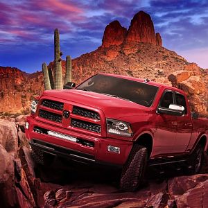 Desert Ram
