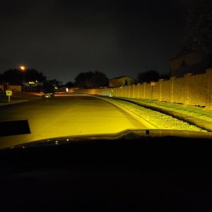 Fog Night Shot