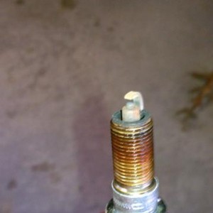 Stock plugs after 56000 miles