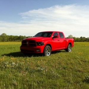 Posing in the grass.