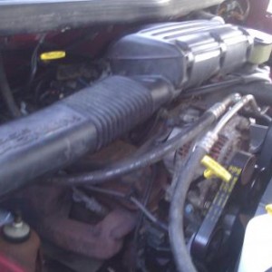 New cap/rotor, plugs, wires, & coil