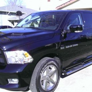 Black Beauty