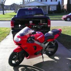 Black Beauty and little sister Red Rocket