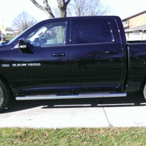 Black beauty