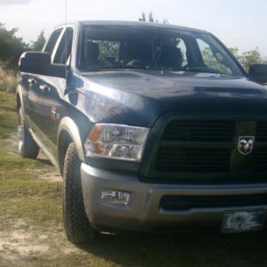 DSCI0175