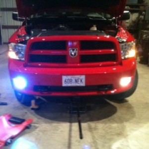 One foglight HID the other still stock halogen