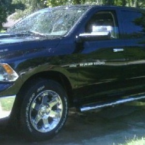 Back when I first brought her home