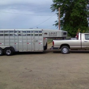 Before air bags in rear, heading to Klamath Falls in southern Oregon to Pick up Buffalo calves