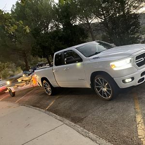 White ram sport on 24