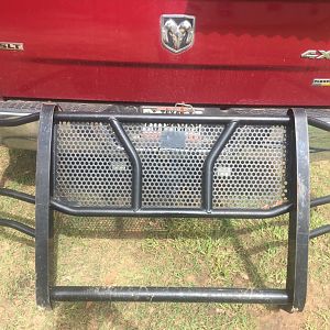 What Grille Guard is this?