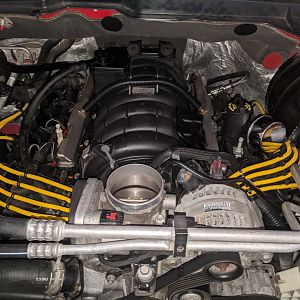 Hemi1