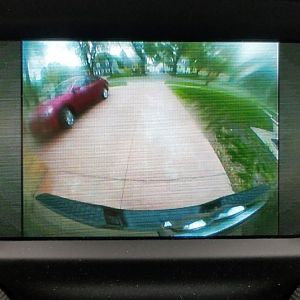 The New View