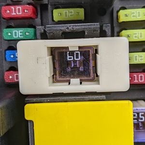 Fuse