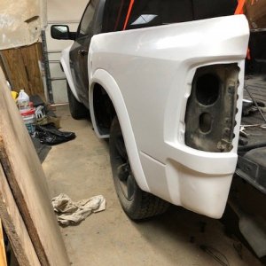 TRXrear5.jpg
