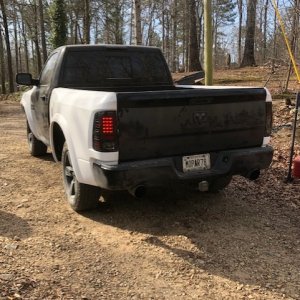 TRXrear10.jpg