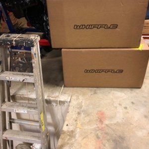Whipple.jpg