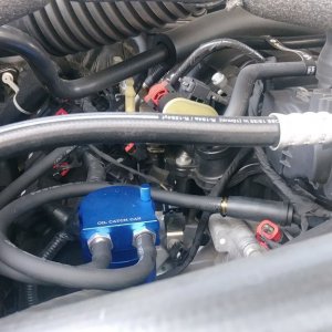 1004190935c.jpg