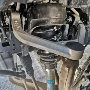 Control arms/Bilstein 5100