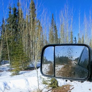 20190413_154040_HDR~2.jpg
