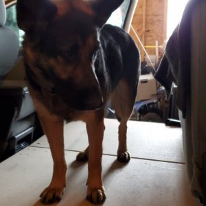 20190405_145247.jpg