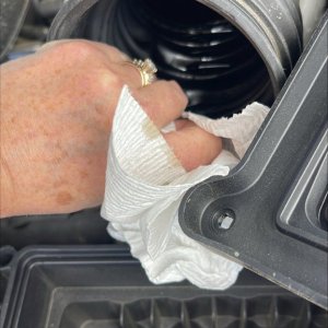 Loosened clamp from air filter housing, oil in pipe to manifold processed-C3BAC570-48A5-4E4F-AE11-F095EF7657DE.jpeg