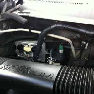 IMG 0573