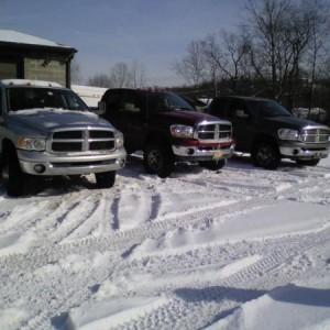 Friends Cummins