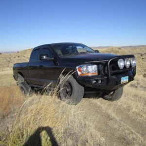 love this pic