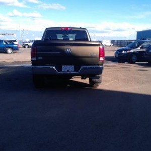 Dealer Lot