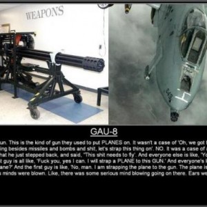 gau8