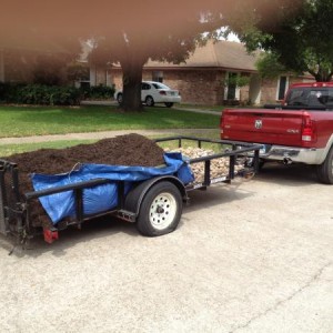 yard work